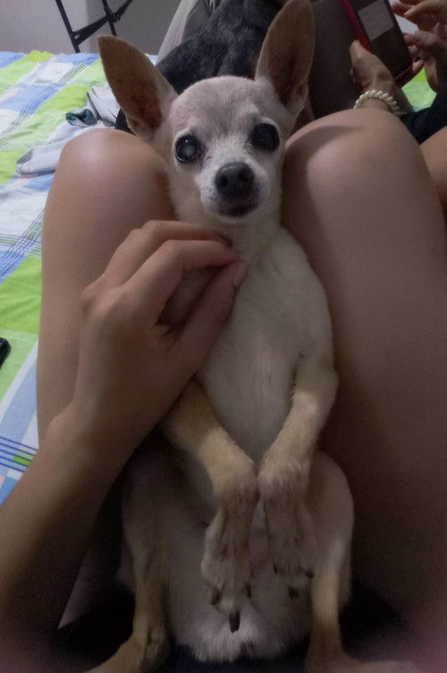 Fresita