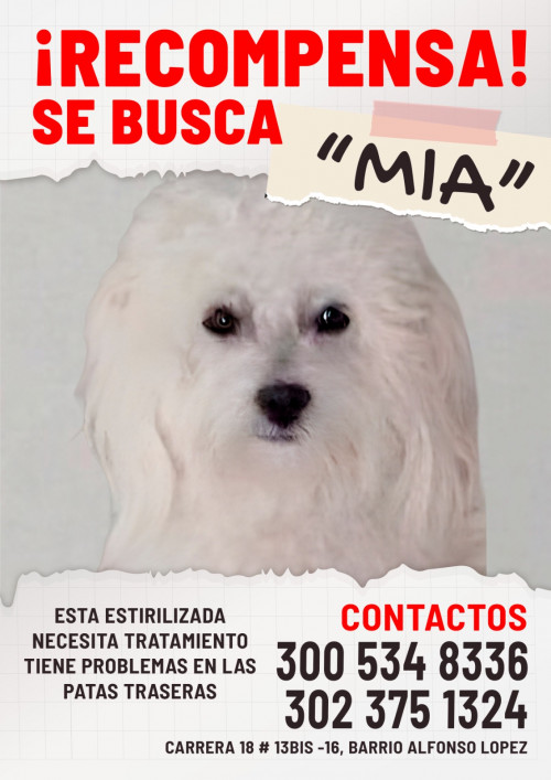Mía