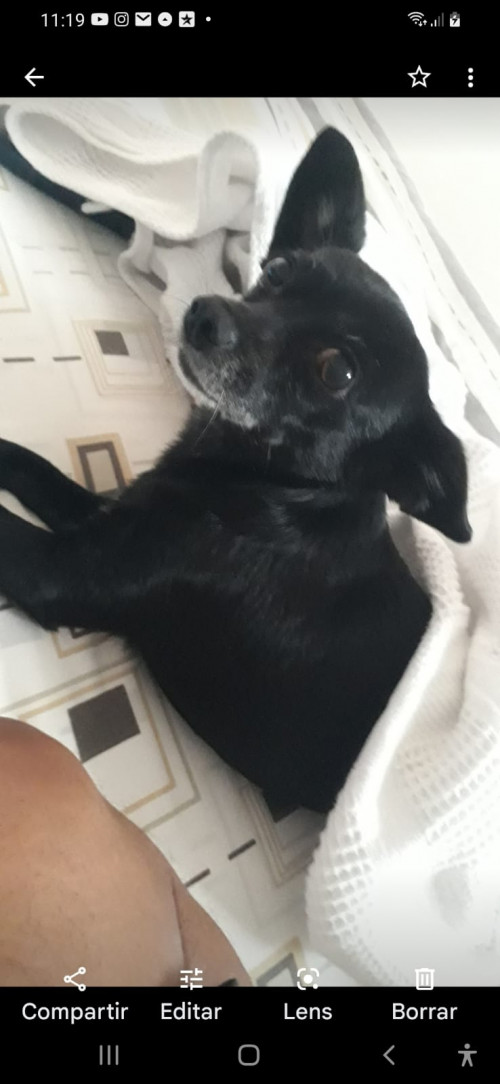 Lola