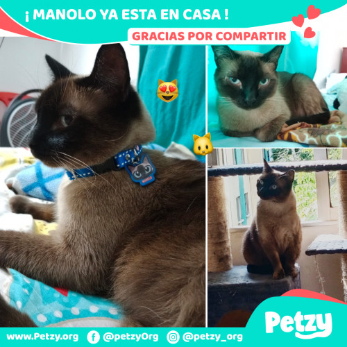 Foto de mascota Manolo