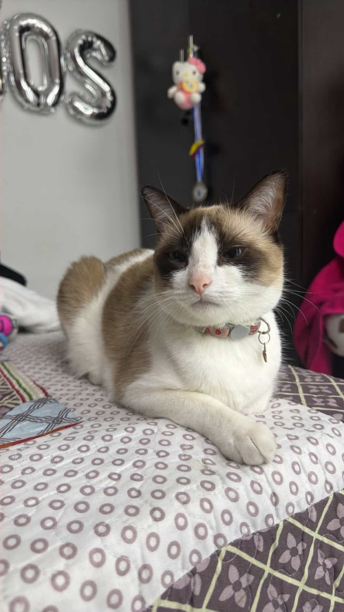 Mila