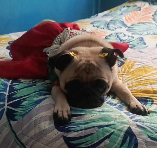 Samy
