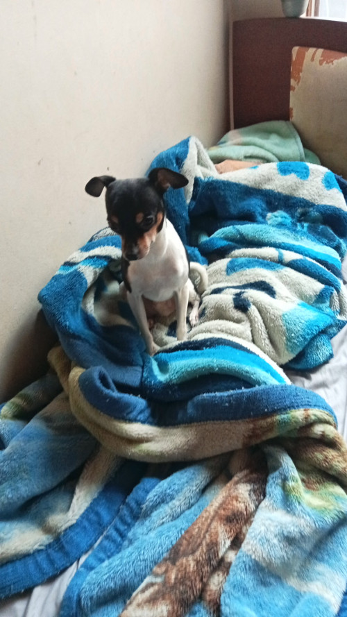 Max Y Princesa
