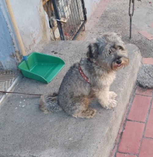Bruno
