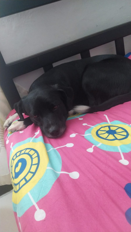 Lukas