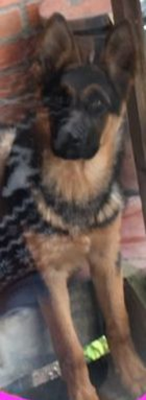 Baltazar
