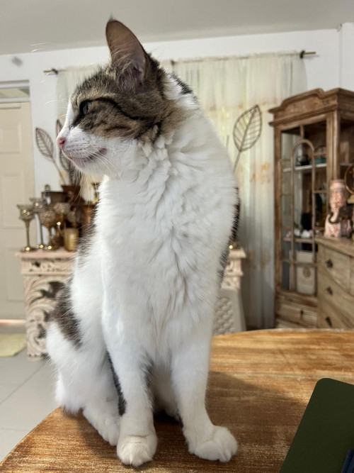 Max