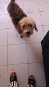 Foto de Kira en Barranquilla Atlántico #1
