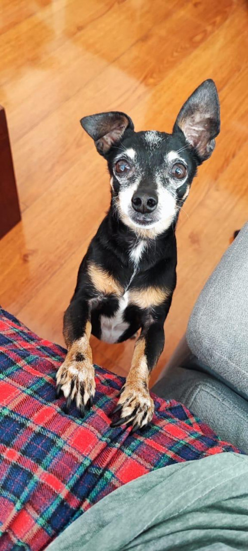 Milo