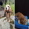 Foto de Toby en Monguí Boyacá #1
