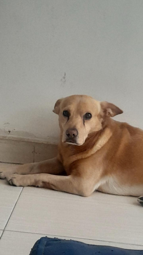 Mateo