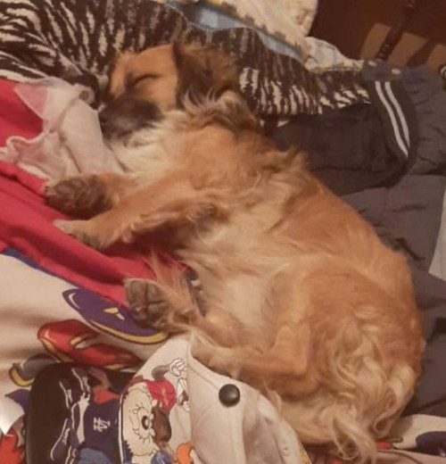 Zeus