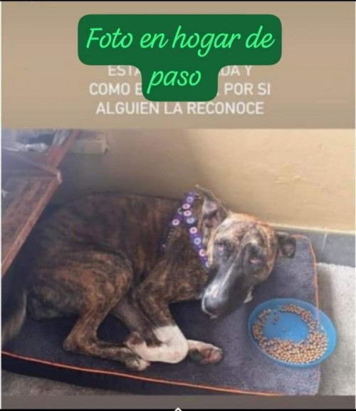 Kira O Manchas