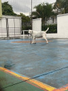 Foto de Zaira en Villavicencio Meta #3