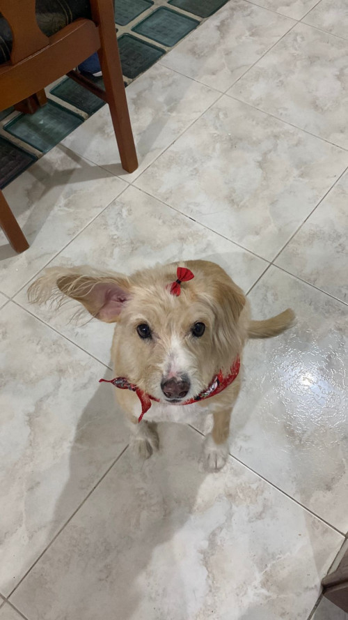 Muñeca