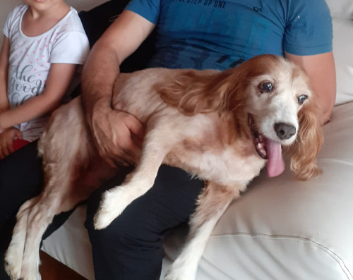 Manuela