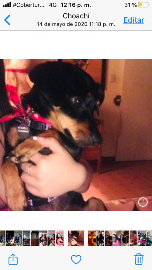Maggy