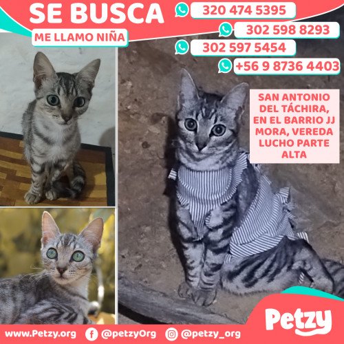 Foto de mascota Niña