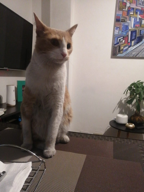 Almi