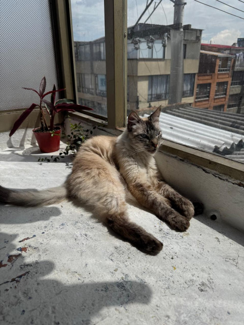 Fred