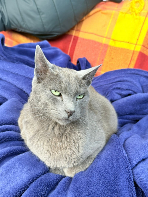 Ramón