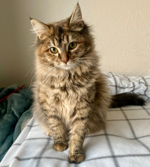 Luna
