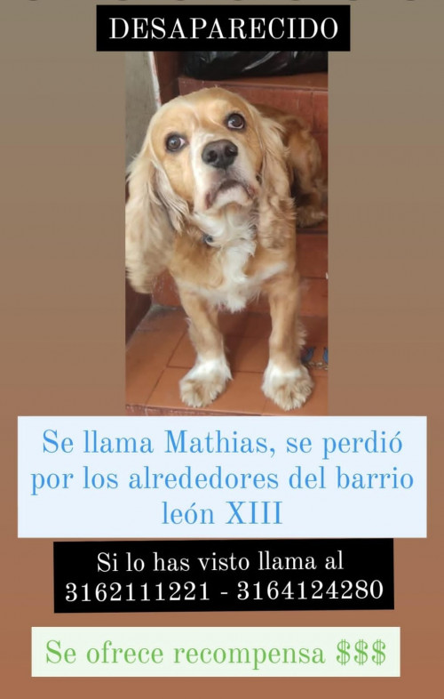 Matías