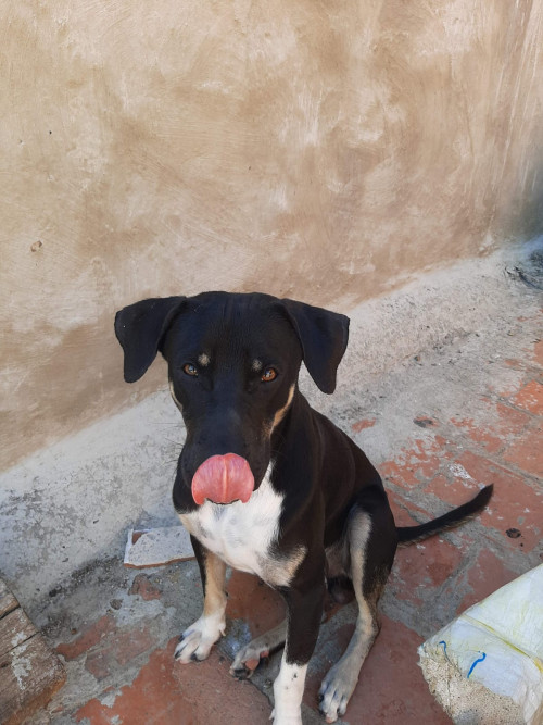 Jack
