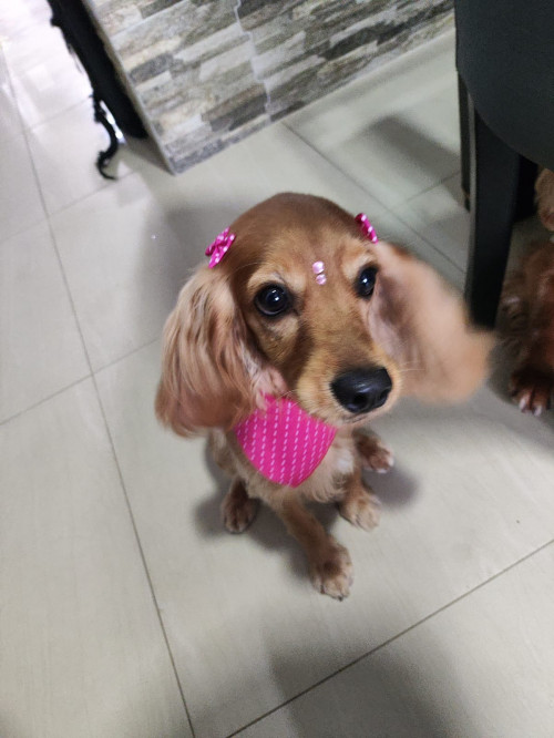 Minnie