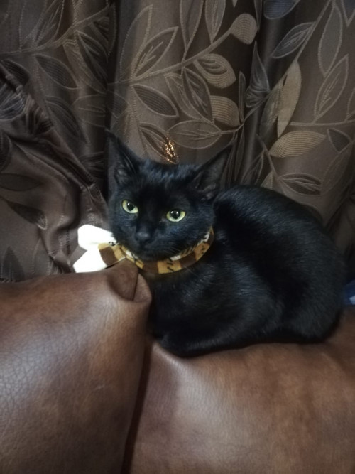Luna