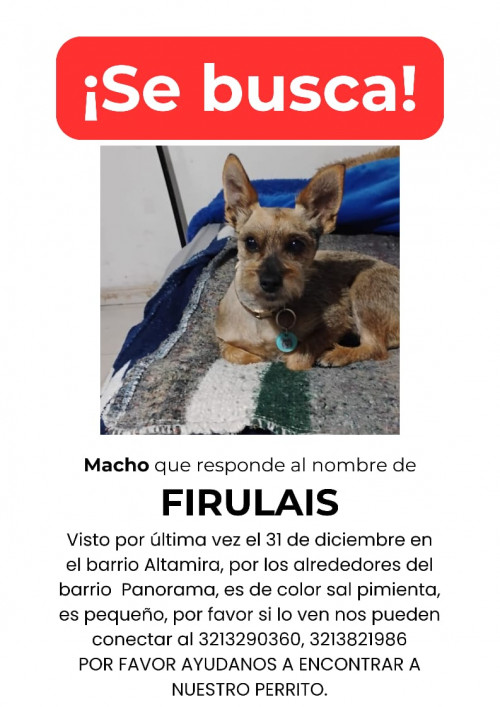 Firulais