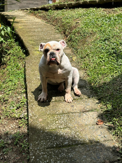 Sara