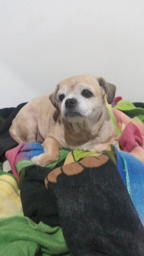 Lupita