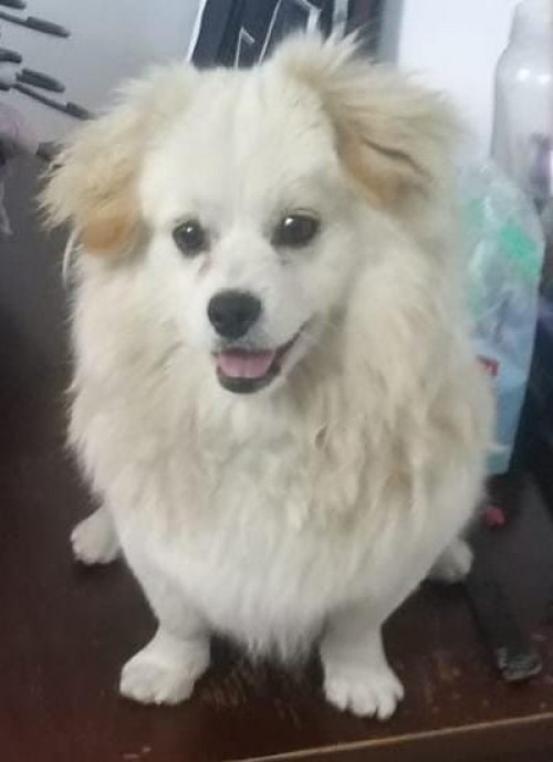 Max