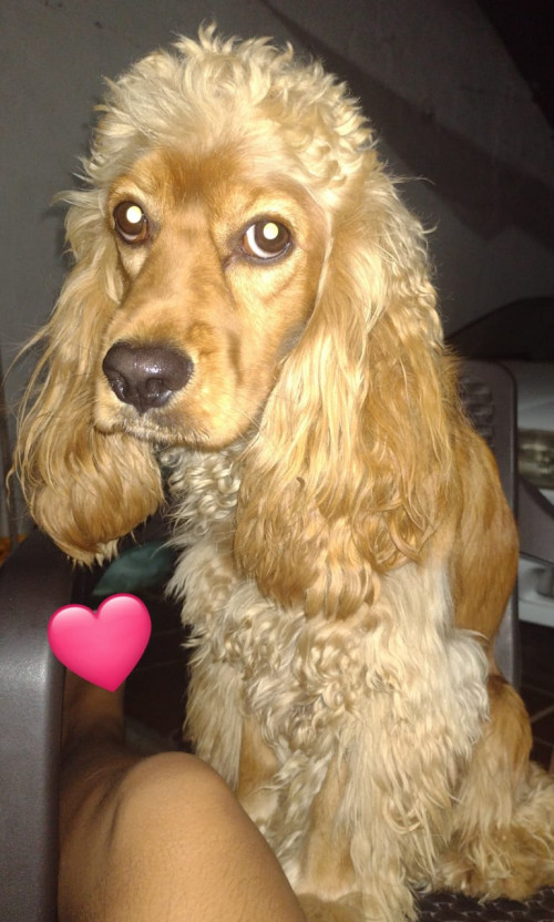 Max