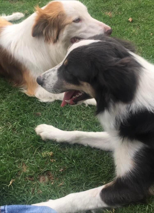 Zoé Y Lola