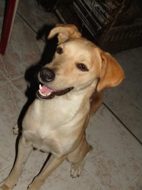 Juana