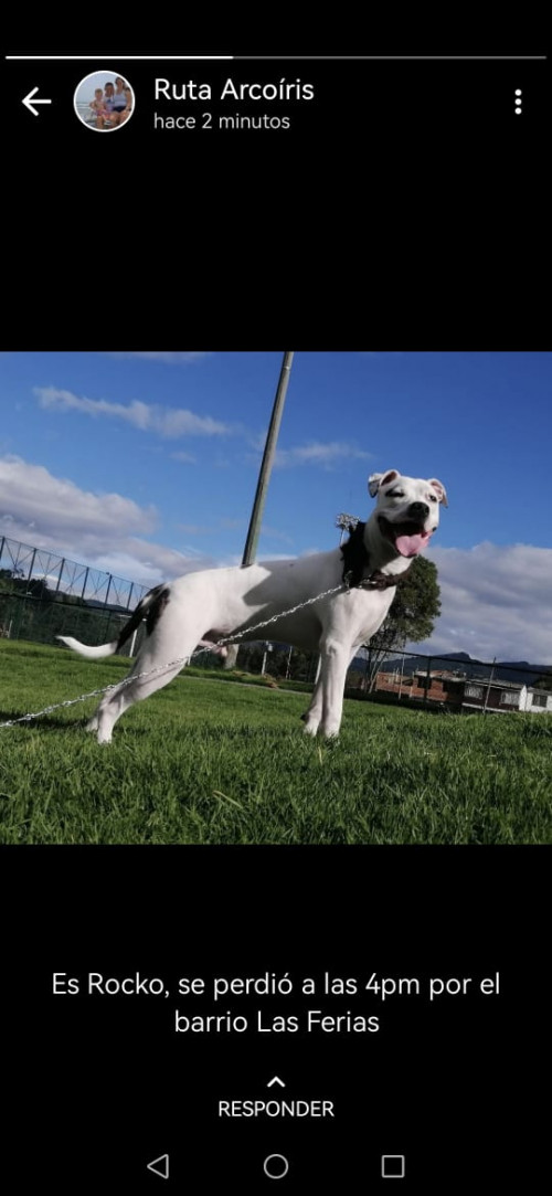 Rocko