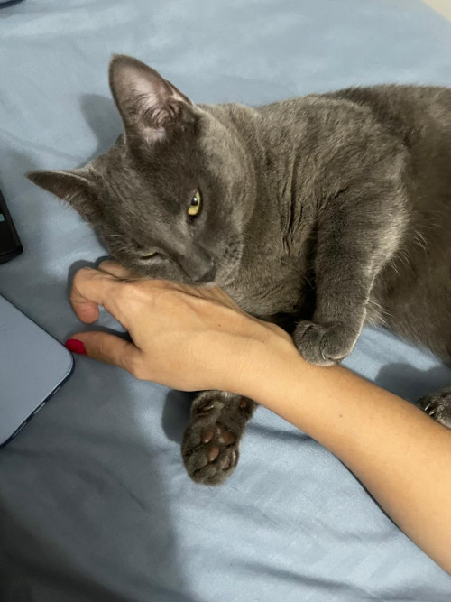 Mia