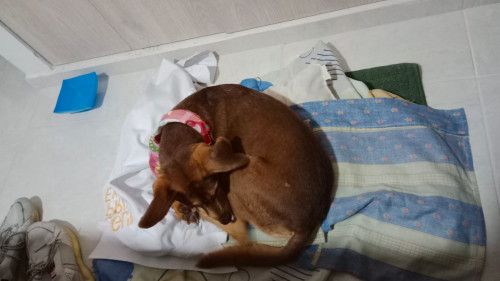 Ojitos