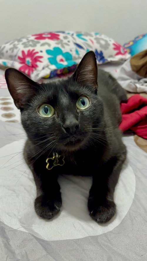 Samael