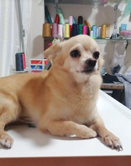 Luky