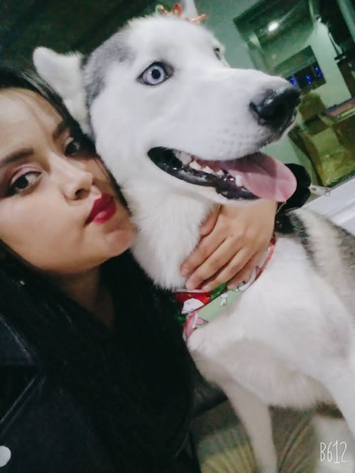 Kora