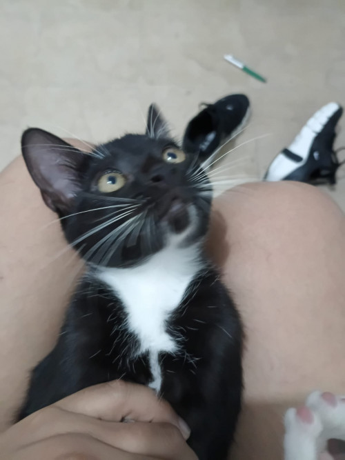 Lili