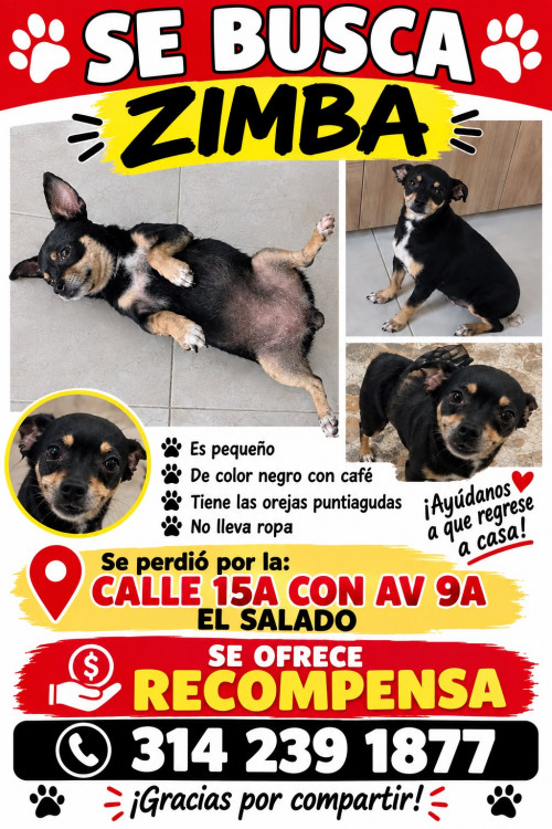 Zimba