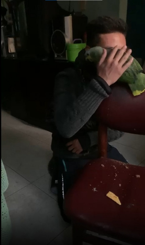 Pol