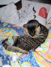 Foto de Monty en Tunja Boyacá #1
