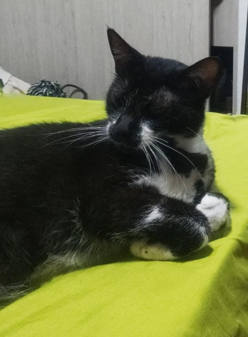 Tom