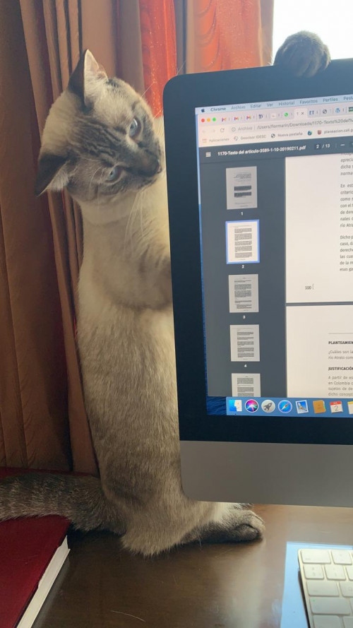 Coco