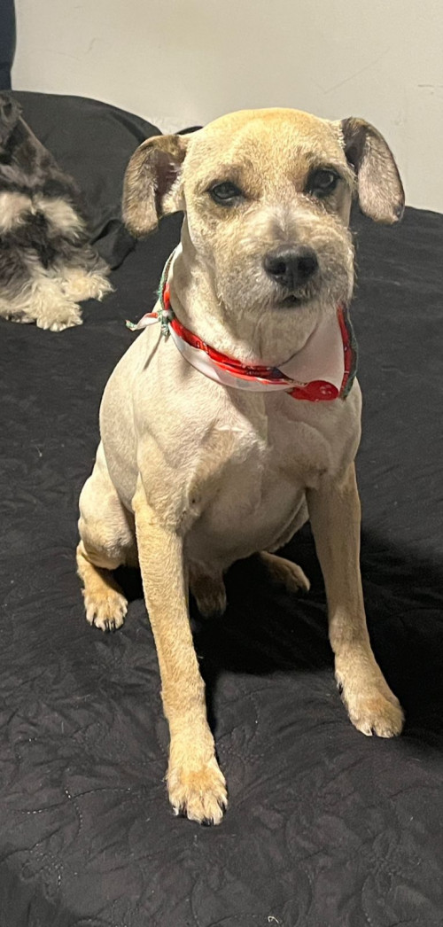 Max